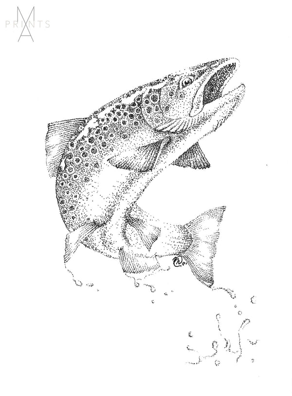 Brown Trout Fish Black and White Nature Print